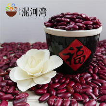 Wholesale Dark Red Kidney Bean With HPS Size 180-220 pcs for 100g